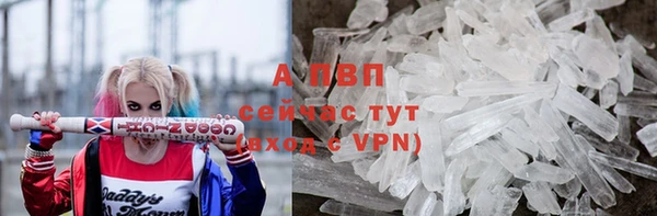стафф Армянск