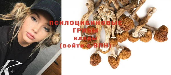 мескалин Аркадак