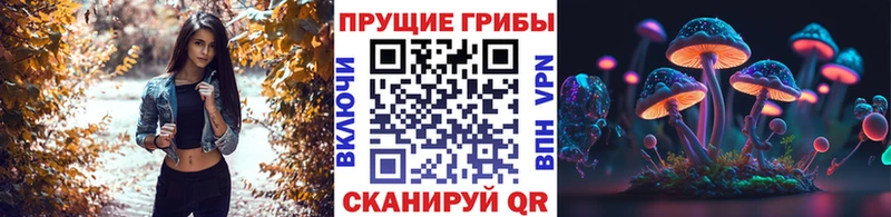 Псилоцибиновые грибы Cubensis  omg   Советская Гавань 